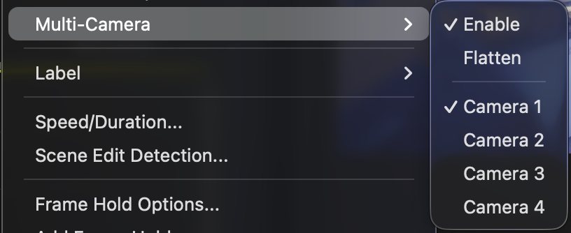 Adobe Premiere Pro: the Multi-Camera submenu on a cut from a project RIM CHOP wrote, listing Camera 1 to Camera 4